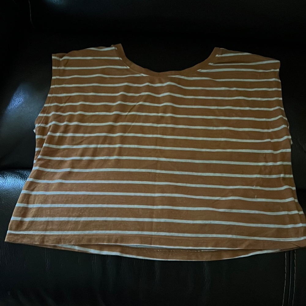 Chestnut Striped Shirt